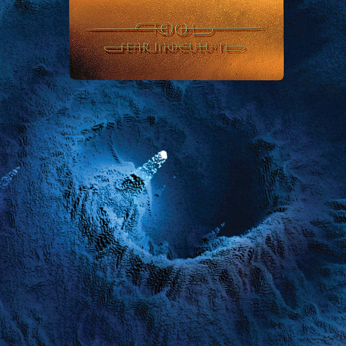 Tool (툴) - Fear Inoculum [5LP]