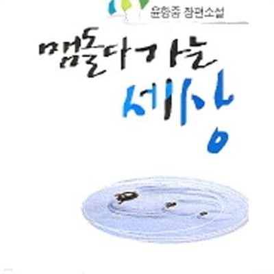 맴 돌다 가는세상 (윤항중 장편소설) /상태양호