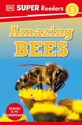 DK Super Readers Level 2 : Amazing Bees