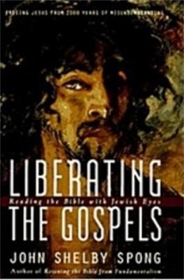 Liberating the Gospels: Reading the Bible with Jewish Eyes: Freeing Jesus from 2,000 Years of Misunderstanding (Hardcover, 1)