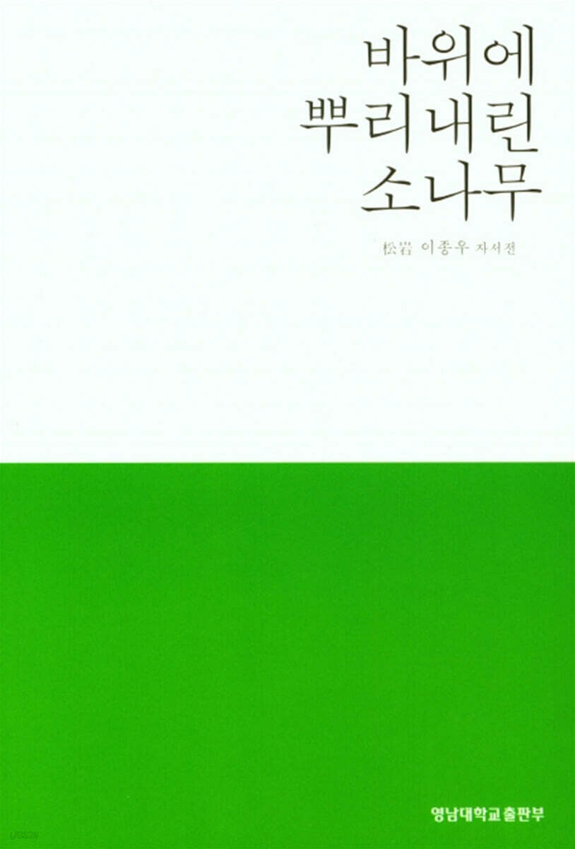 바위에 뿌리내린 소나무