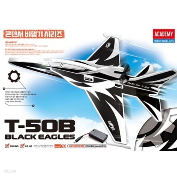 프로 콘덴서 비행기 T50B BLACK EAGLES 블랙이글