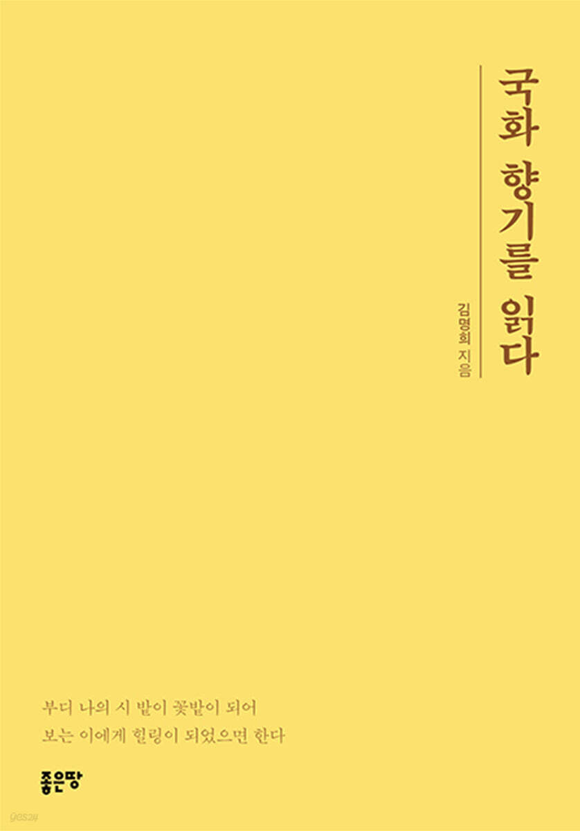 국화 향기를 읽다