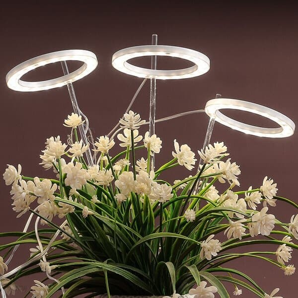 엔젤링 화분 LED 식물등(3헤드) (웜색) 생장 식물조명