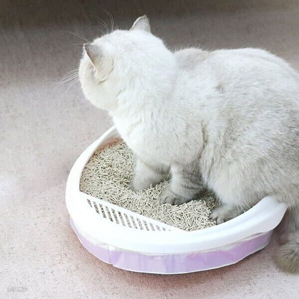 고양이 화장실 봉투 3롤 세트 고양이화장실리필봉지