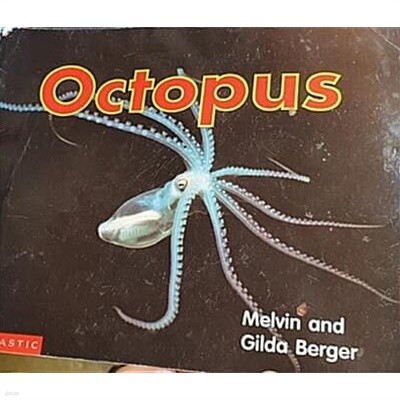 Octopus (Scholastic time-to-discover readers) (Paperback)