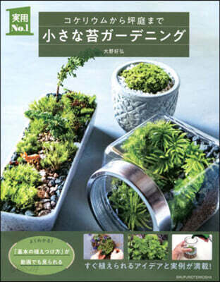 小さな苔ガ-デニング