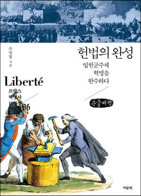 헌법의 완성 (큰글씨책)
