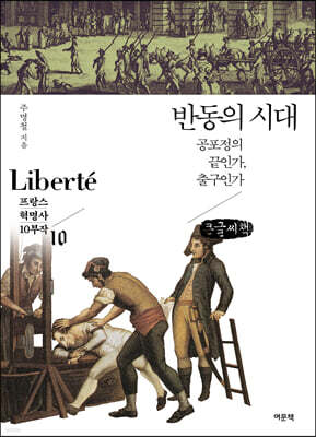 반동의 시대 (큰글씨책)