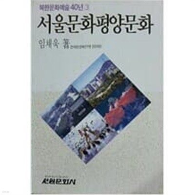 서울문화평양문화