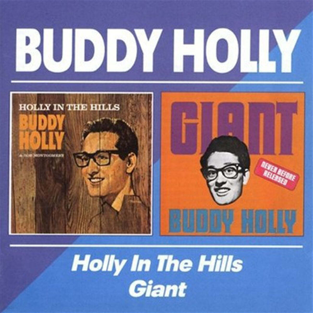 Buddy Holly (버디 홀리) - Holly In The Hills/Giant 