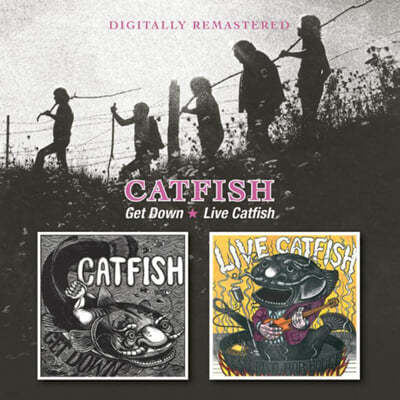 Catfish (Ĺǽ) - Get Down / Live Catfish