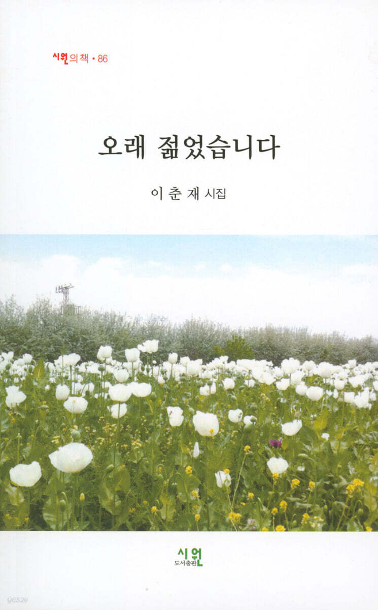 오래 젊었습니다