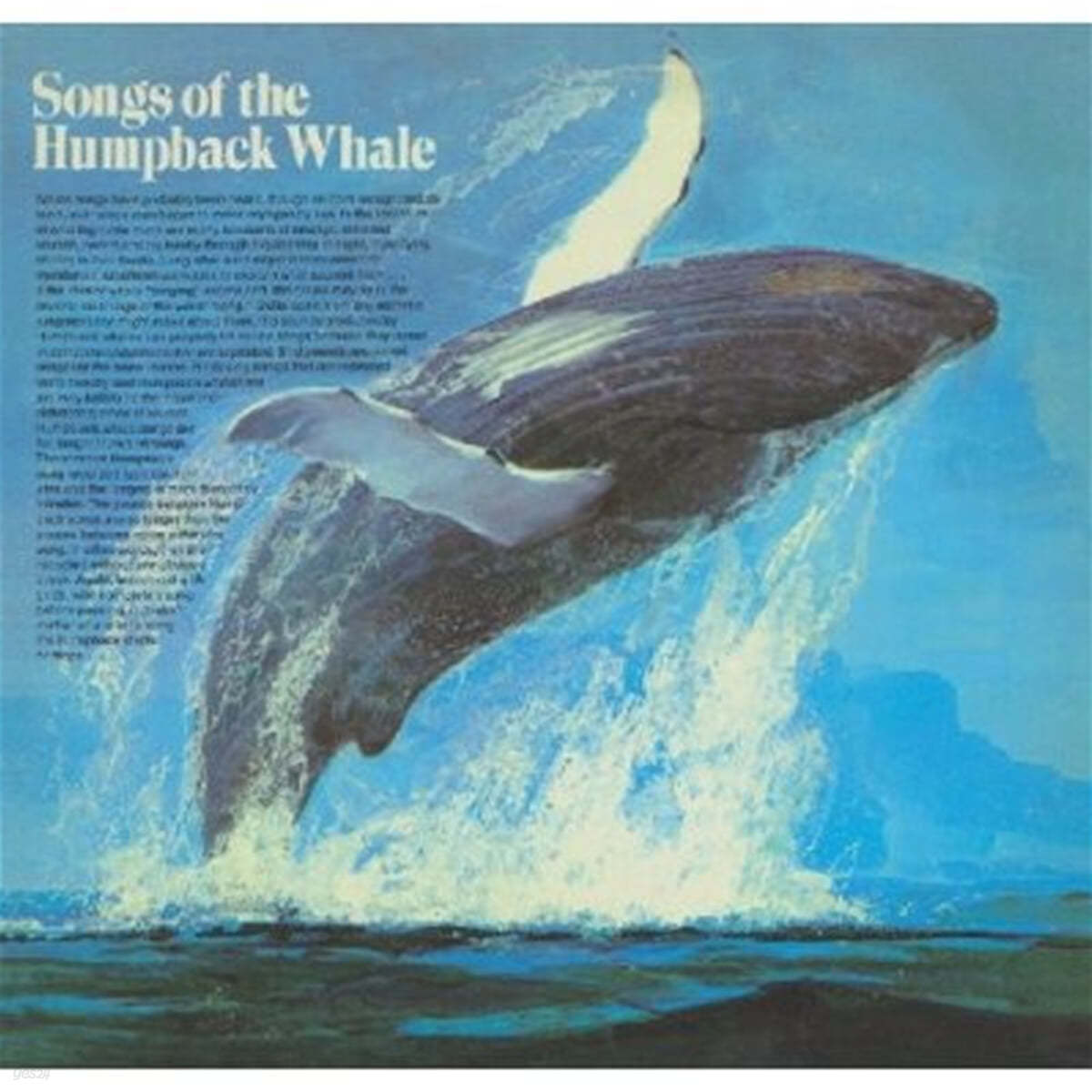 혹등고래의 노래 (Songs Of The Humpback Whale) 