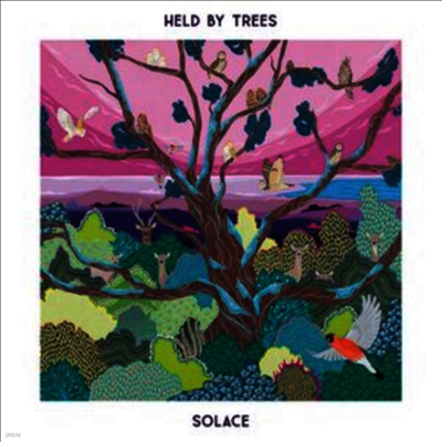 Held By Trees — Solace 앨범 커버