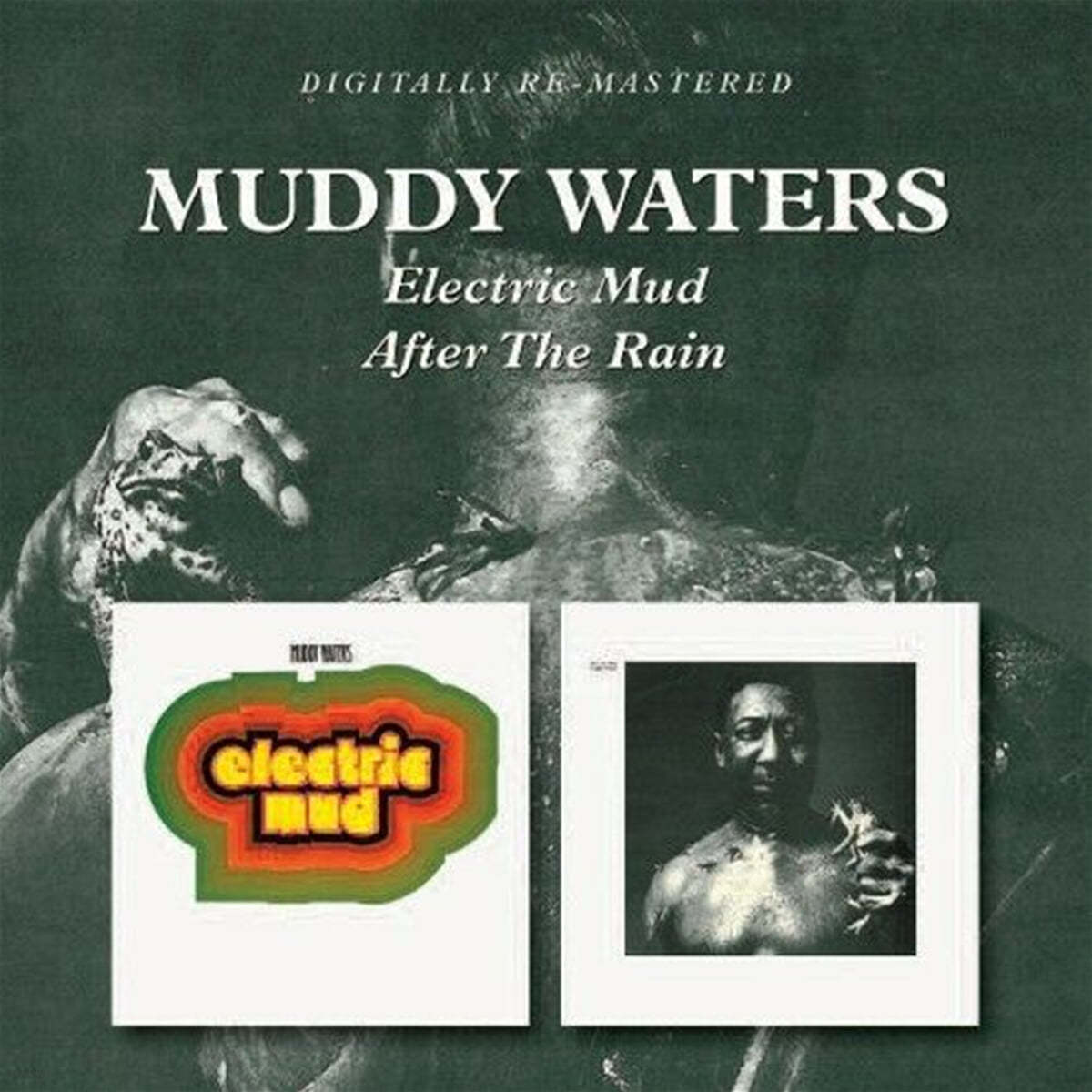 Muddy Waters (머디 워터스) - Electric Mud / After The Rain 