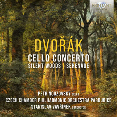 Petr Nouzovsky / Stanislav Vavrinek 드보르작: 첼로 협주곡, 세레나데 외 (Dvorak: Cello Concerto Op.104, Serenade Op.22) 