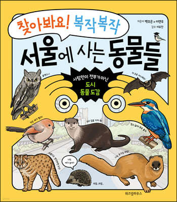 찾아봐요! 복작복작 서울에 사는 동물들 