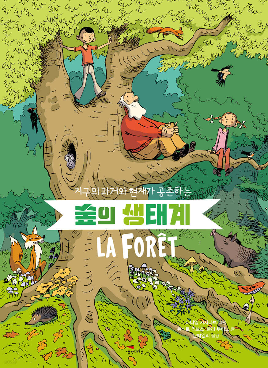 숲의 생태계