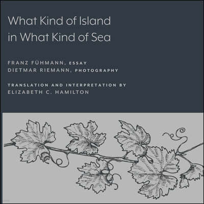 What Kind of Island in What Kind of Sea?