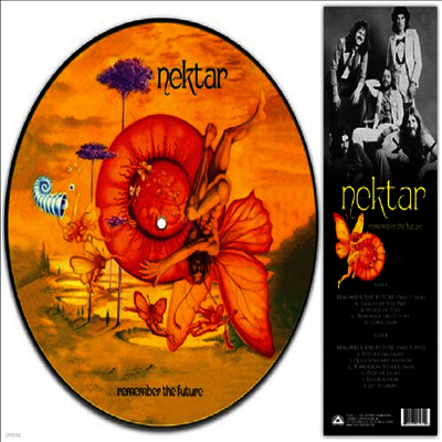 Nektar — Remember The Future (Picture Disc) 앨범 커버