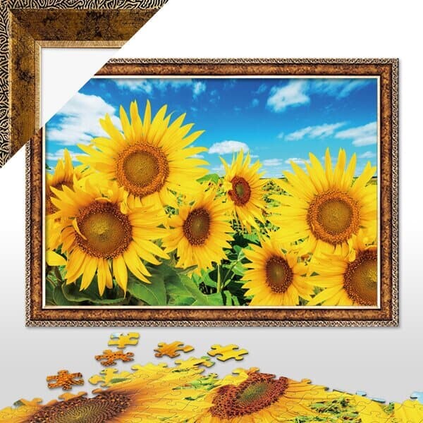 500피스퍼즐 해바라기들판 + 앤틱골드 액자세트