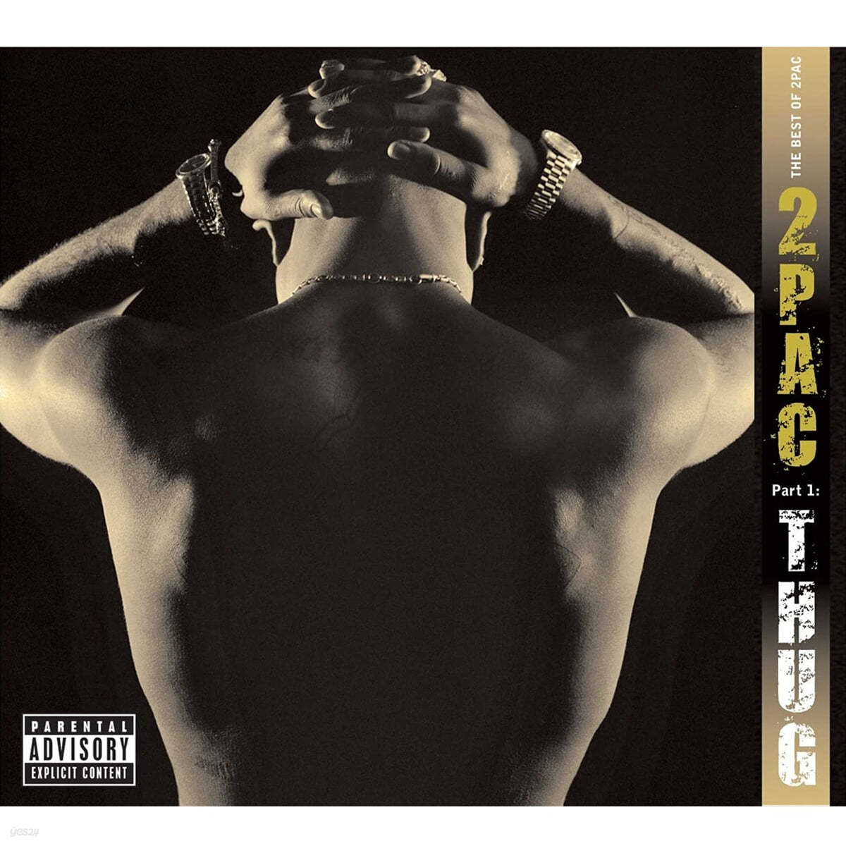 2Pac (투팍) - The Best Of 2Pac - Part 1: Thug [2LP] 