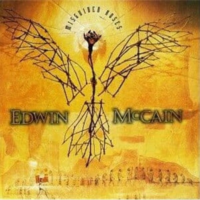 Edwin McCain - Misguided Roses [1998년 WARNER MUSIC KOREA국내제작반]