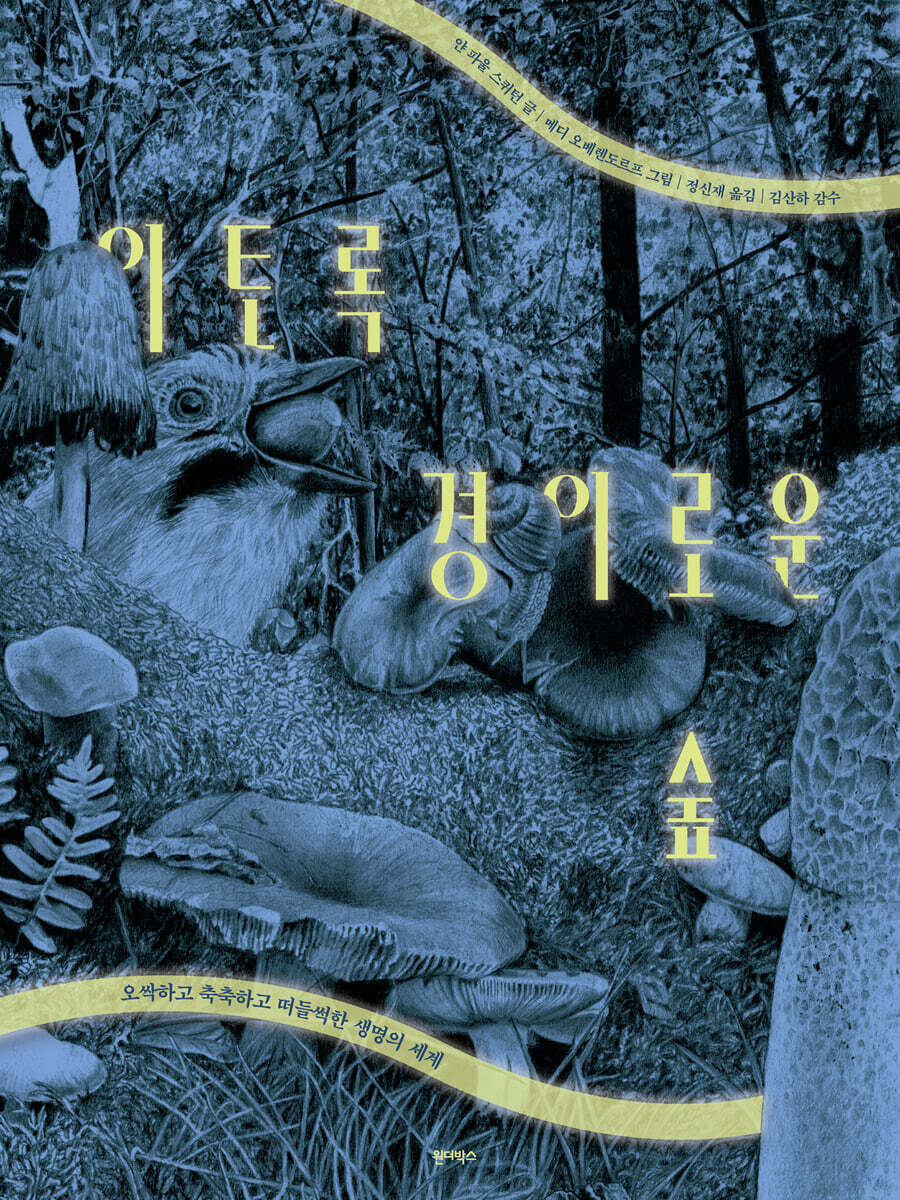 이토록 경이로운 숲
