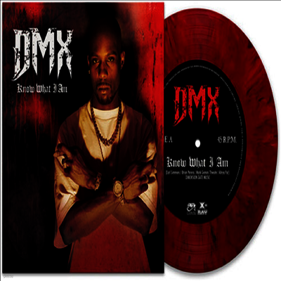 DMX — Know What I Am 앨범 커버