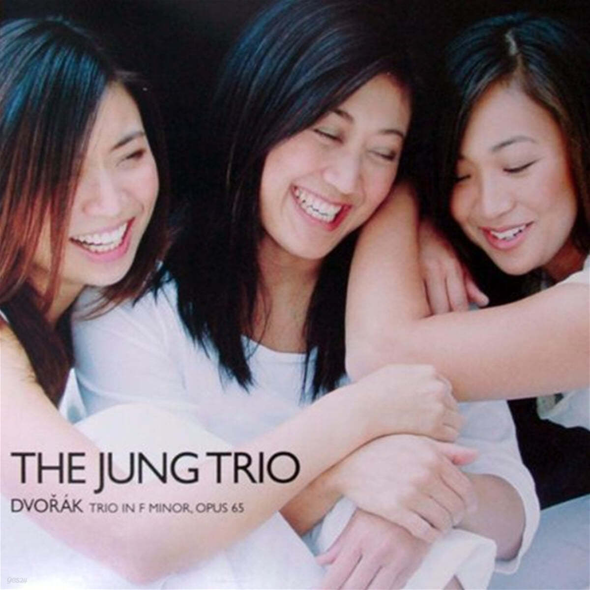 정 트리오 (The Jung Trio) 드보르작: 피아노 트리오 (Dvorak: Trio Op.65) [2LP]