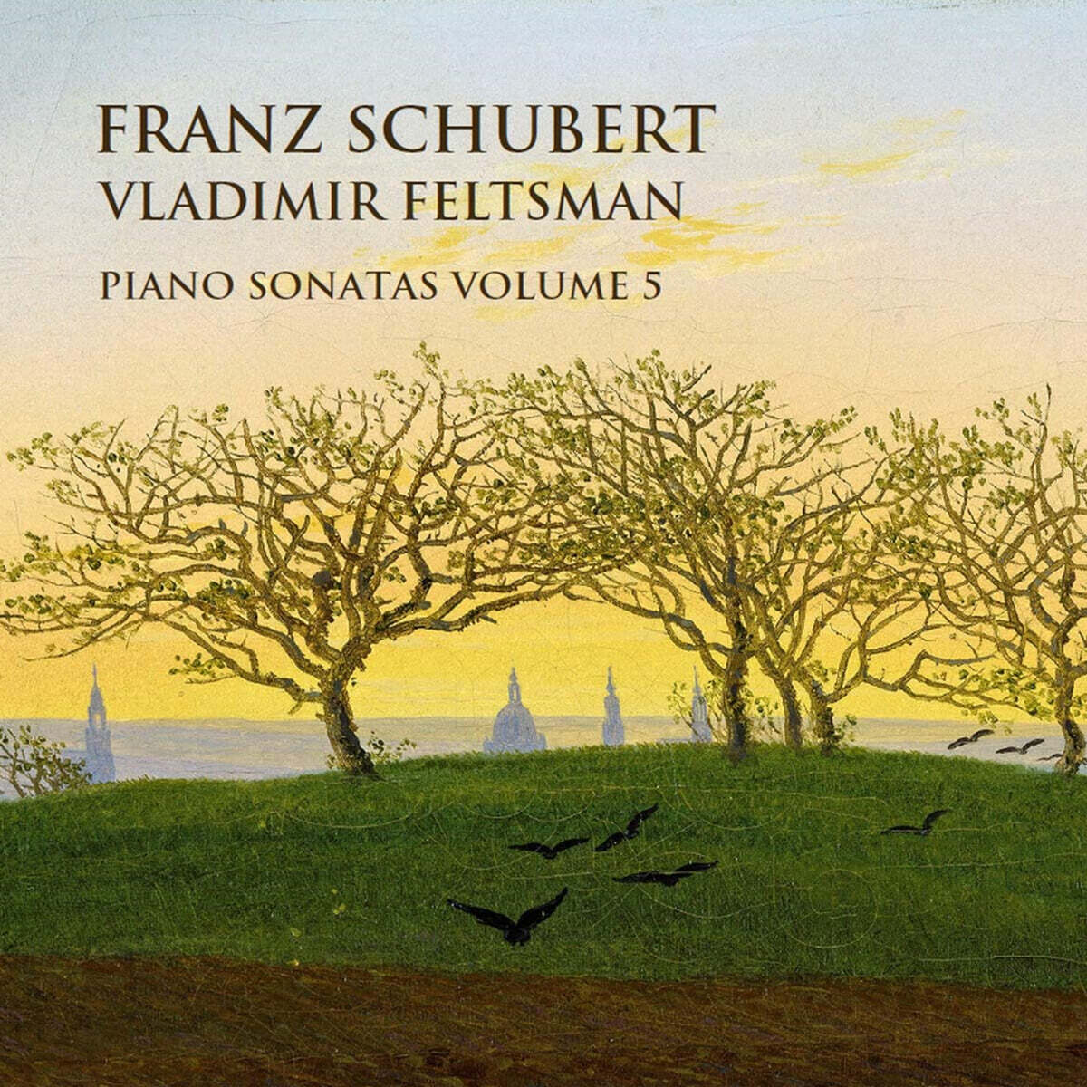 Vladimir Feltsman 슈베르트: 피아노 연주집 5집 - 블라디미르 펠츠만 (Schubert: Piano Sonatas Vol. 5)