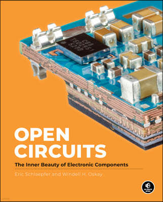 Open Circuits: The Inner Beauty of Electronic Components
