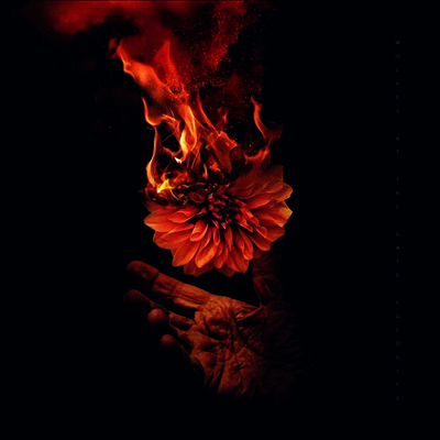 Wolves At The Gate — Eulogies 앨범 커버