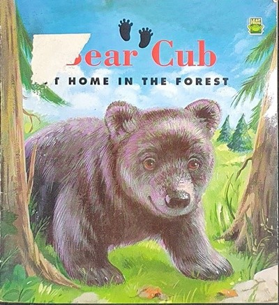 Bear cub: At home in the forest Paperback 
