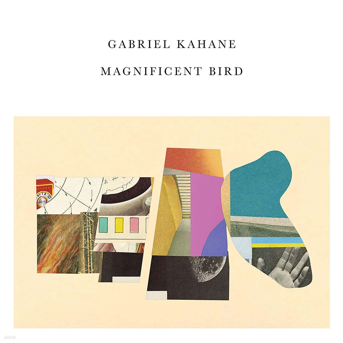 Gabriel Kahane (가브리엘 카핸) - Magnificent Bird