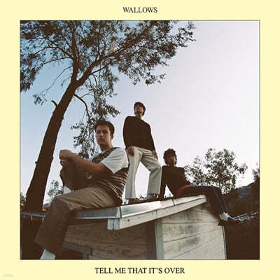 Wallows (зο콺) - 2 Tell Me That Its Over 