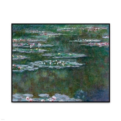 [The Bella]  -  Water Lilies