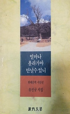 얼마나 올라가야 만날수 있니 (현대문학시인전 유진규 시집)