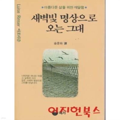 새벽빛 명상으로 오는 그대 : 루이제 린저 아포리즘