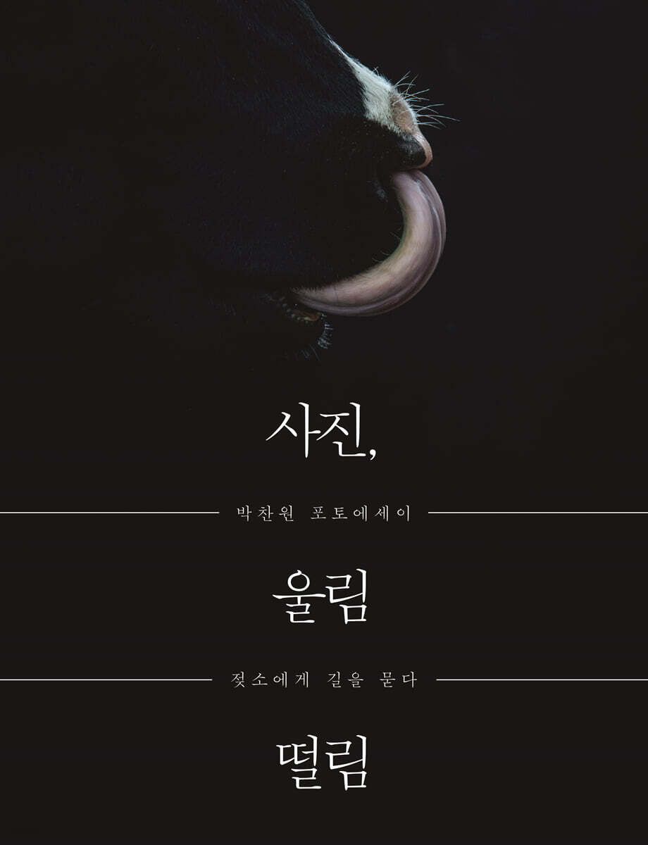 사진, 울림 떨림