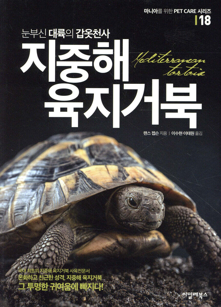 눈부신 대륙의 갑옷천사 지중해 육지거북