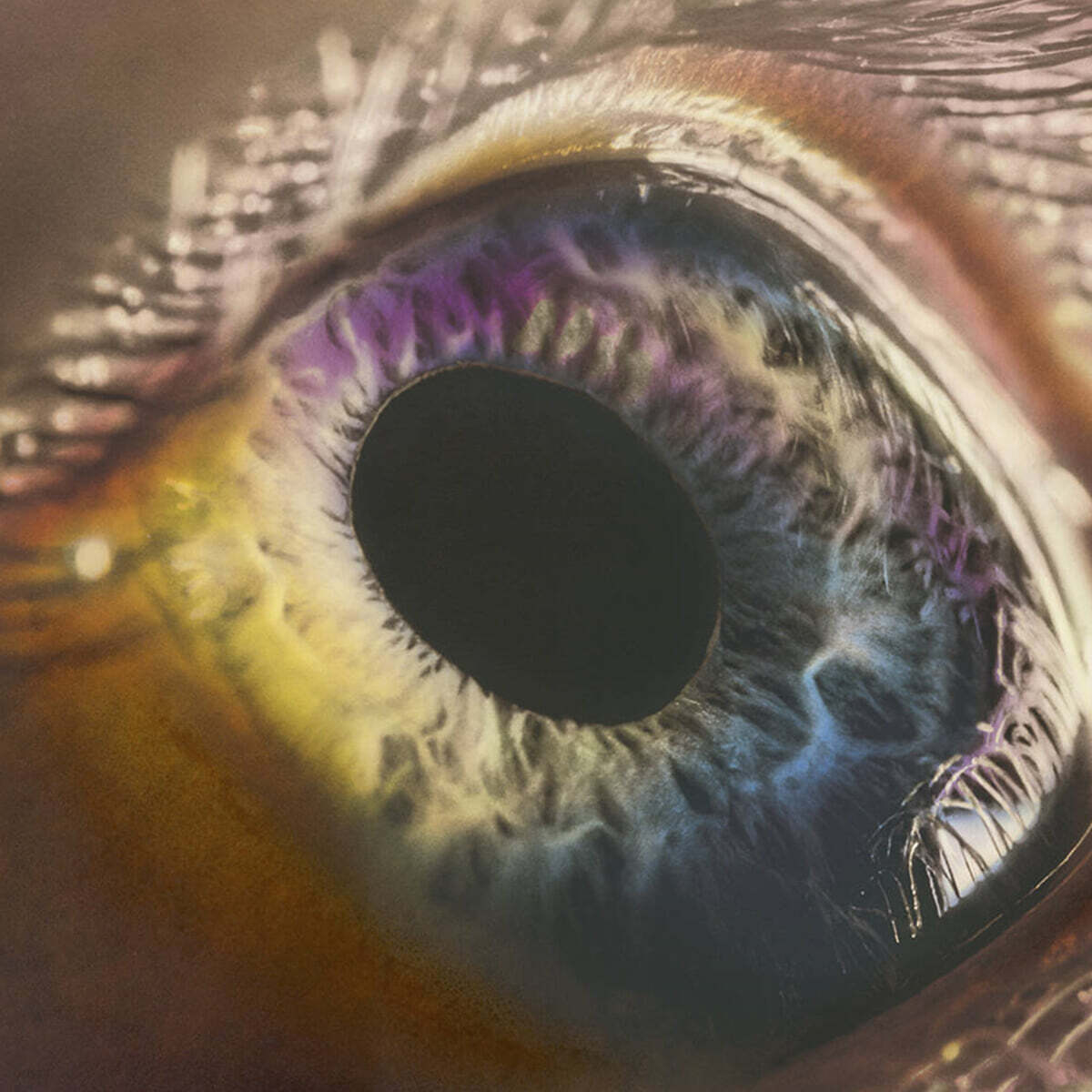 Arcade Fire (아케이드 파이어) - 6집 WE [LP]