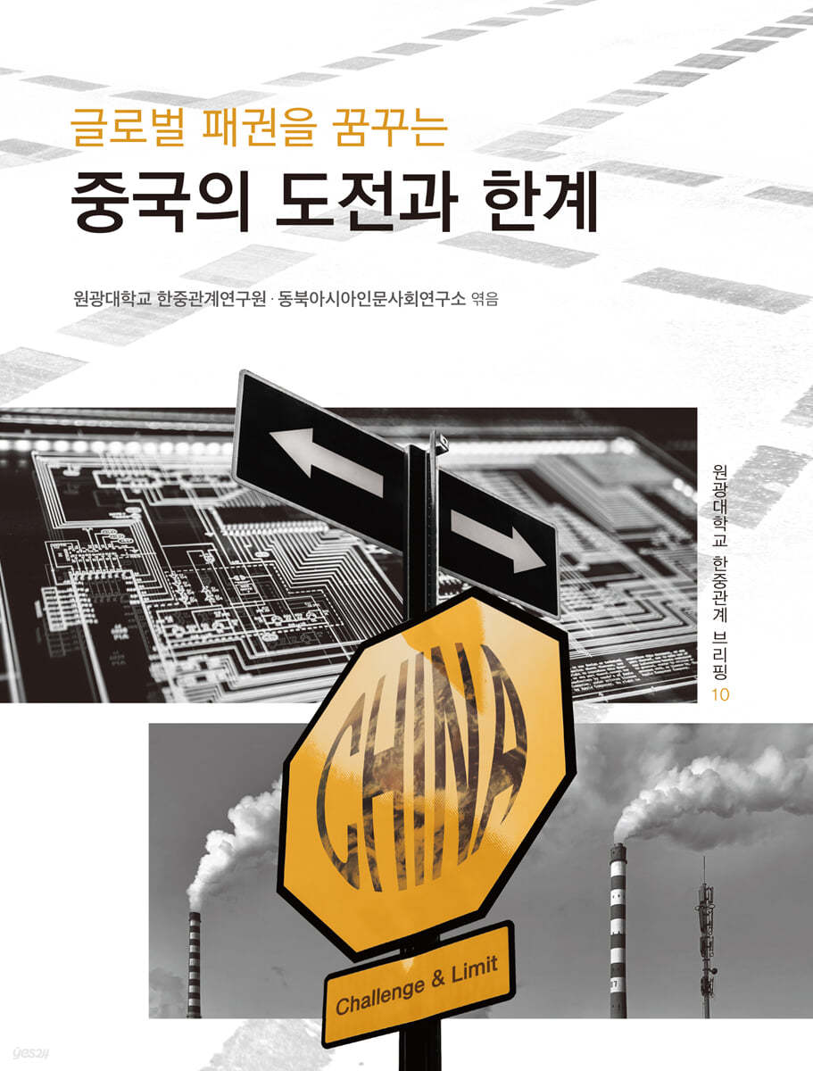 글로벌 패권을 꿈꾸는 중국의 도전과 한계