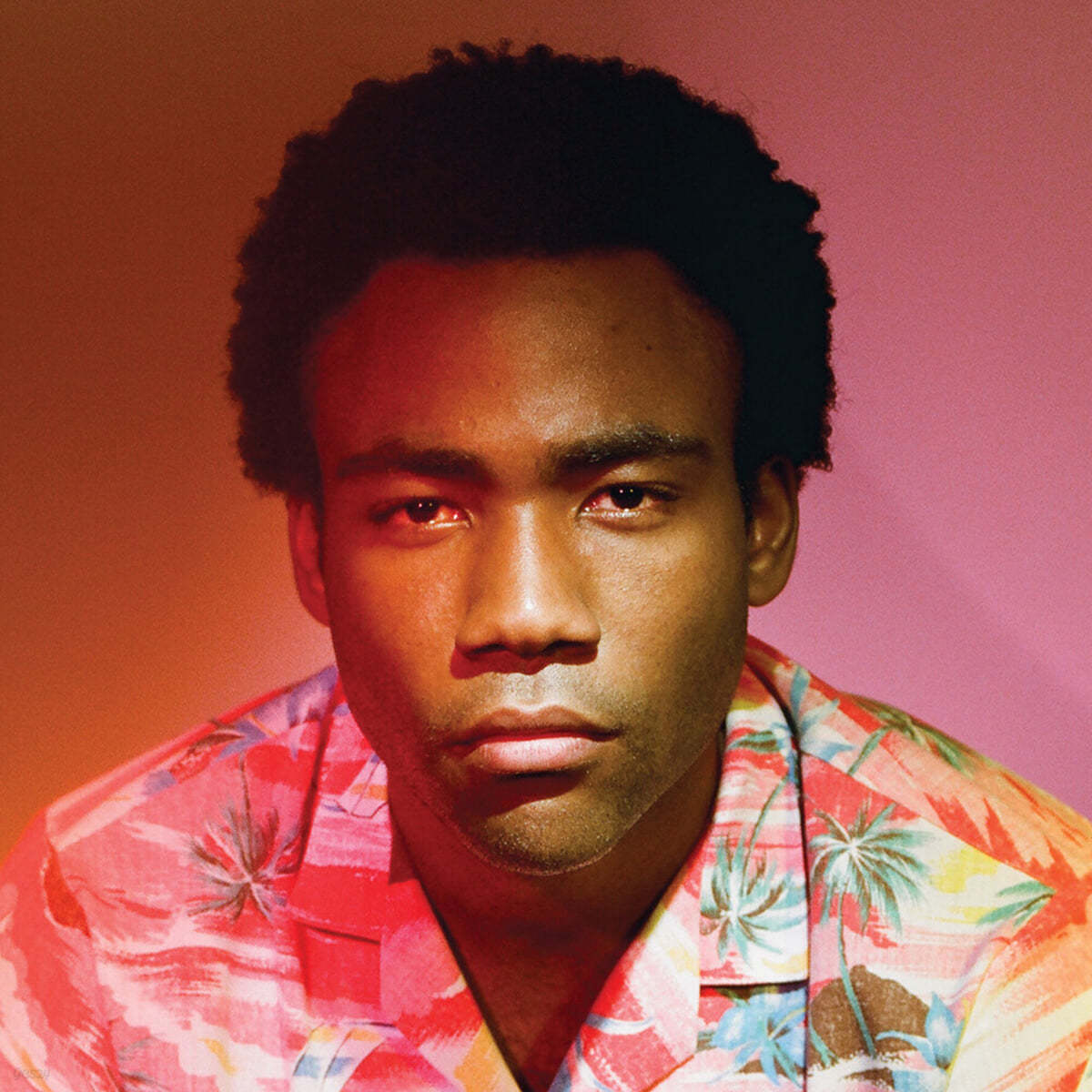 Childish Gambino (차일디쉬 감비노) - 2집 Because The Internet [2LP]