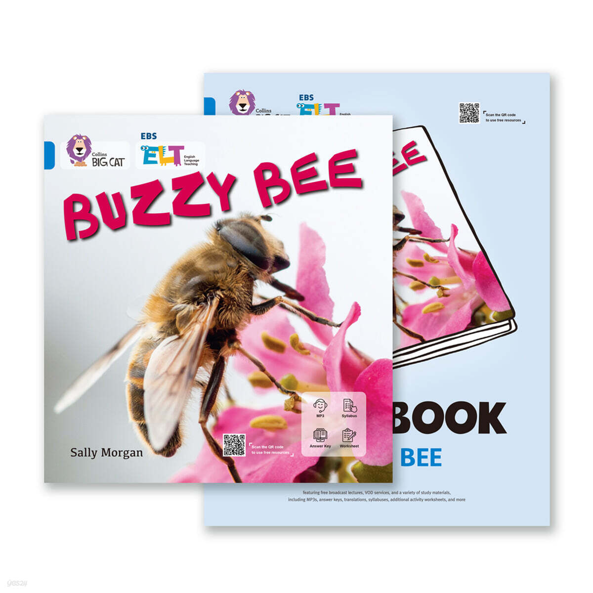EBS ELT - Big Cat (Band 4) BUZZY BEE