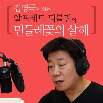 김명국이 읽는 알프레트 되블린의 민들레꽃의 살해 커버 이미지