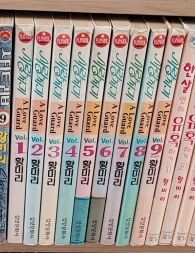 사랑지기 1-9 완결 (실사진첨부/황미리)---만화