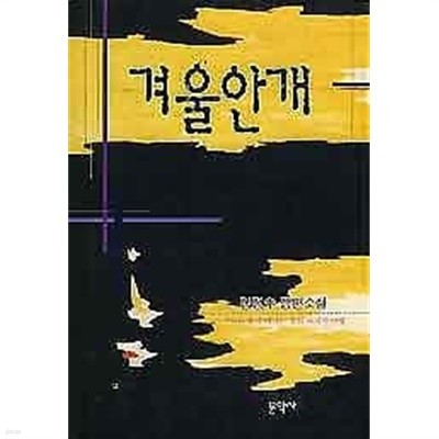 1996년 초판 김정수 장편소설 - 겨울안개