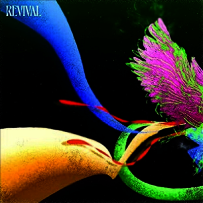Judah & The Lion — Revival 앨범 커버